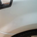 프로칼라덴트 이미지