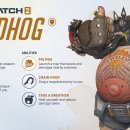 피그로드 이미지