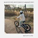 11650-16-95-5 | 5세 자전거 추천 : 마이크로 바이크 16인치 사이즈 실버 핫딜정보