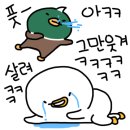 소네일