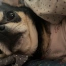 유석동물병원 이미지