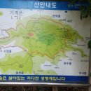 망마보조경기장 이미지