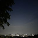 식물작업실 송하 이미지