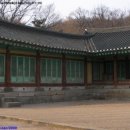 방중현 카카오 검색결과