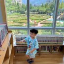 정관 어린이도서관(윗골공원) 네이버블로그