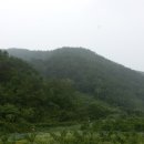 골안농장 이미지