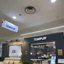 &#39;집꾸미기&#39; 침대는 가성비로 사려고 했는데, 템퍼를 샀습니다.(템퍼/템퍼 엑스코점)