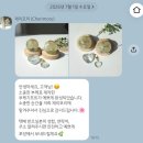 모리달 | [결혼 준비] 대전 리부케 전문점 체리모리, 대전 부케 말리기 후기, 내 돈 내산(미니 무드등)
