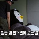 와이비에스