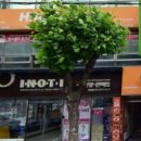 이노티 안경 북항점 네이버블로그
