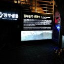 광명동굴 이미지