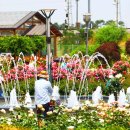 곡성-174 이미지