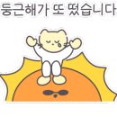 리미띠에 이미지
