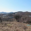 승명농장 티스토리