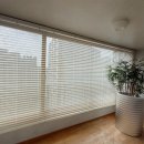 에코르아파트 앞 | 전주 완산구 중화산동 현대에코르 아파트 블라인드 커튼 매력만점인 제품으로 인테리어 완성