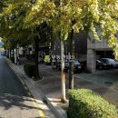 팔레스텔 이미지