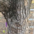 푸른 식물병원 이미지