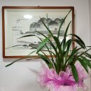 한신아파트 대표 회장 선출 이미지