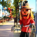 곡성심청축제장 이미지