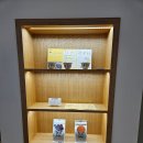 [공지] 강남 선릉역 커피에 진심인 써트커피 그냥 지나치지 않길 잘한듯 솔직후기
