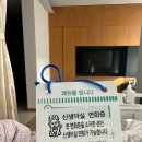 이대도치