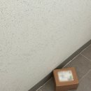 그린약국 | 판티오 그린 식물성 TG 뉴 보령 약국 오메가3 추천 그린 식물성 TG 오메가 3 후기