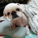 화랑유치원 이미지