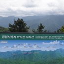 지리산 바래봉 산행(꽃은 마니 없었지만 날씨도 좋고 푸르름이 좋았던 바래봉) 이미지