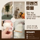 도그 프렌즈 이미지