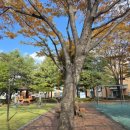 대림동산길 이미지