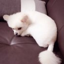 뚜레쥬르논산 이미지