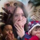 타르트곰 이미지