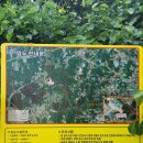 충남 당진시 몽산-아미산-다불산 코스/2022.7.28.목(1) 이미지