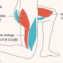 밀리언스크린골프 이미지