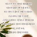 굿모닝 Daum카페