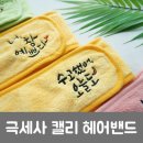 아젤리아 이미지