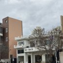 울산 | 태화강국가정원뷰 아이스크림커피가 맛있는 &#39;레이백커피 스탠드&#39; 내돈내산 후기