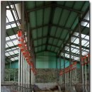 청정한우농장 이미지