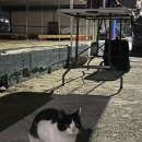 하영주유소 이미지