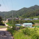 명당길 이미지