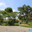 태평석유주