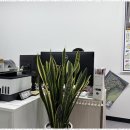 개포미소부동산공인중개사사무소 | 디에이치퍼스티어아이파크 개포미소부동산에서 믿음직한 중개 서비스 경험기