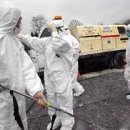 중추양계장 이미지