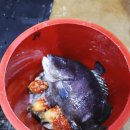 무창포수산시장+보령 죽도 상화원