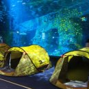 패밀리 아쿠아 이미지