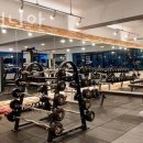 헬스매니아 이미지