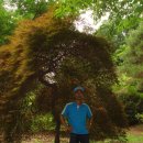 광명콘도 이미지