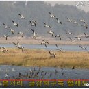 공유게스트하우스