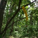 불당14로 이미지