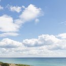 지방농장 이미지